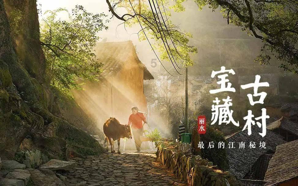 权力与纷争